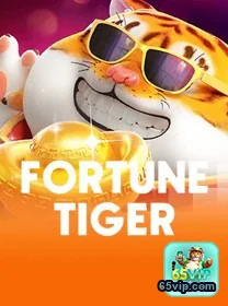 Lancamento App Móvel